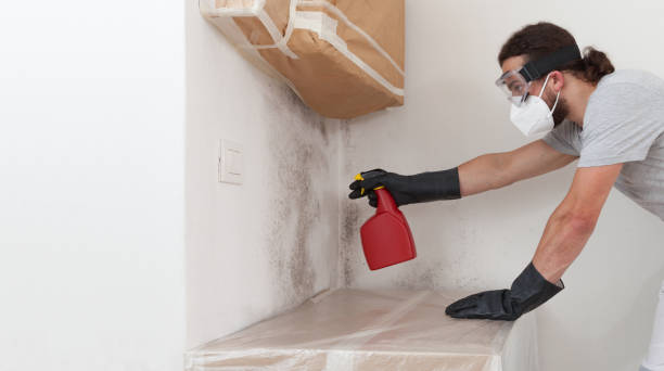 Professional Mold Removal technician working in Lyndhurst, VA