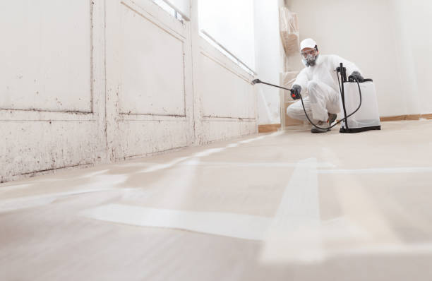 24/7 Emergency Mold Removal experts in Lyndhurst, VA